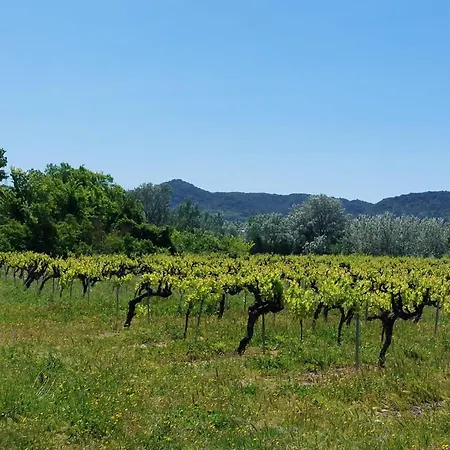 בית נופש Stone House In Gard Near Valbonne Forest *